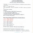 Отчет-КЭС-БАСКЕТ-ДИВИЗИОН-ЦЕНТР-Финал-Ирк-дев-10-12.11.25г-0001