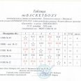 Таблицы-резельтатов-игр-Локобаскет-Ленинский-район-Иркутска-22-0005