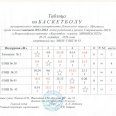 Таблица-результатов-мл-юн-и-дев-2013-2014-гр-Лен-окр-20-21-окт-0010