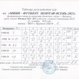 Отчет-по-мини-футболу-Золотая-осенб-25-Лен-окр-Иркутска-0005