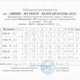 Отчет-по-мини-футболу-Золотая-осенб-25-Лен-окр-Иркутска-0006