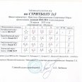 Стритбол-ПСИ-28.04.25-0002