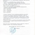 Отчет-и-талица-по-хоккею-0001